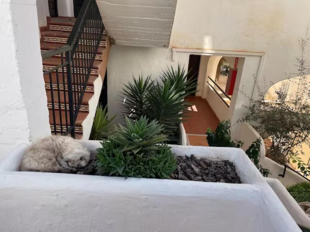 Pueblo Evita Apartment In Exclusive Holiday Complex Benalmádena Exteriör bild